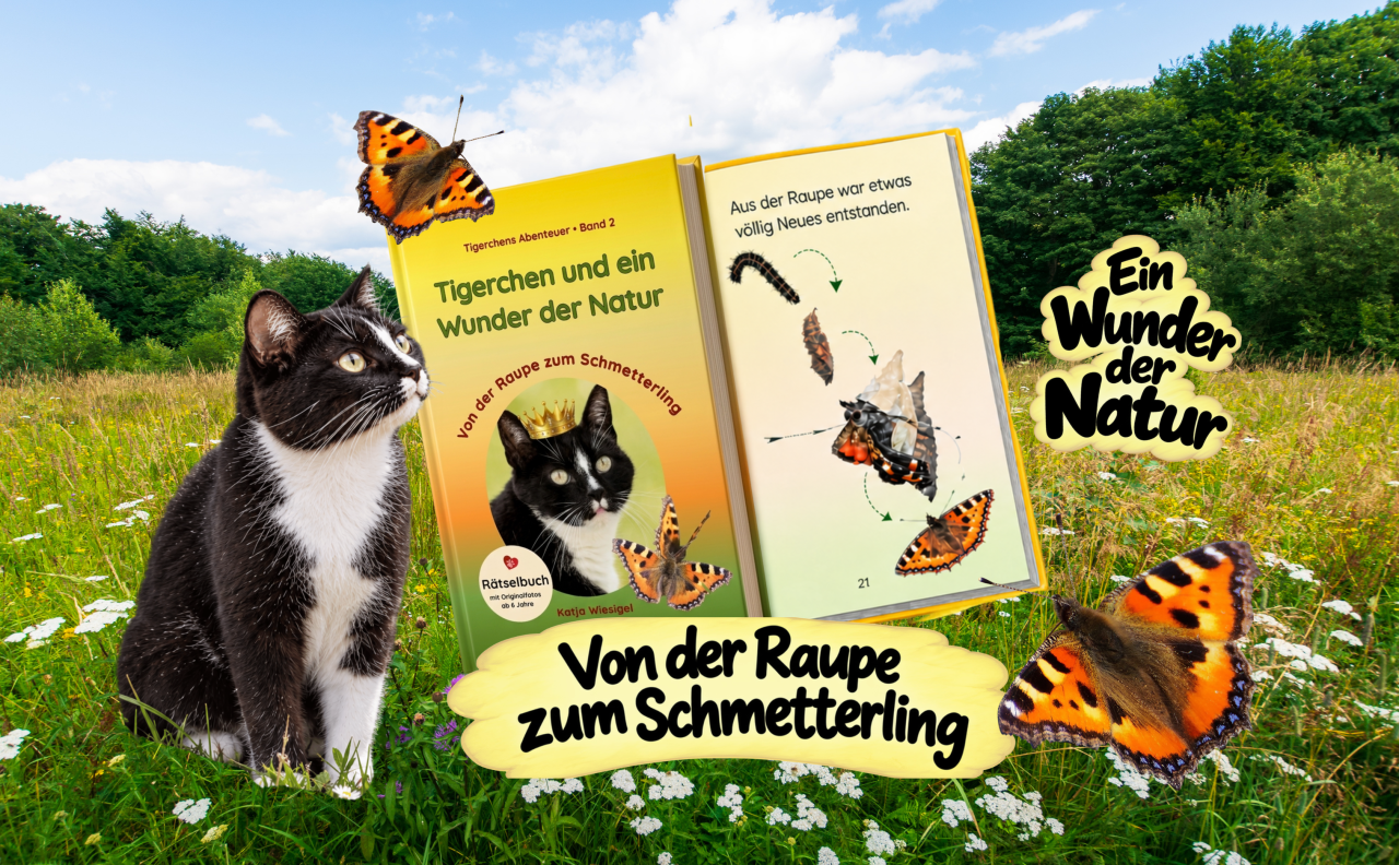 Kinderbücher, Rätsel und Lernen mit Freude im Tiger Verlag